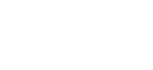 DGA Security logo